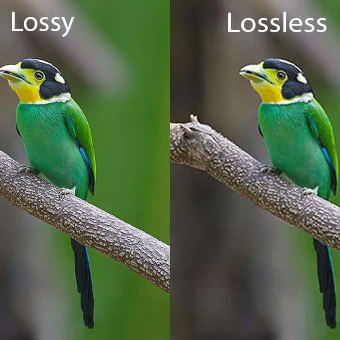 Lossy-and-Lossless | بهینه‌ سازی تصاویر
